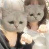 Profilbild von 花より鼻❁