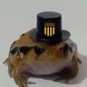 Bicho-papão's profile picture