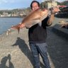 超ポジティブマッハスペシャル暴走究極釣り師オオツカ's profile picture