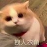 全糖班长's profile picture