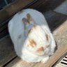 おーもーちゃす👯🥐🌸 的头像