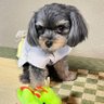 PonC's profile picture