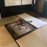 茶釜アイス222 的头像