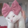 Dragana MilMar's profile picture