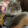 jojo 的头像