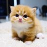Profilbild von jun..