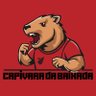 CAP da BAIXADA 的头像