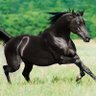 Arif Eryılmaz's profile picture