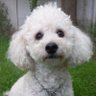 Edith M.'s profile picture