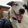Diane profil fotoğrafı