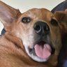 ZappyBasoon's profile picture