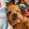 Max's profile picture