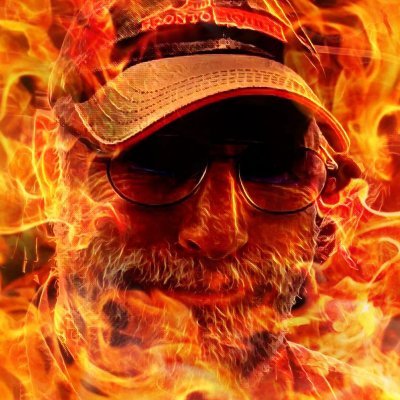 rainergronemann's profile picture
