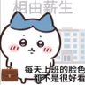 爱吃巧克力's profile picture