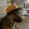 Micah's profile picture