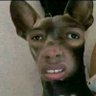 Blackboy profil fotoğrafı