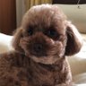 蕎BAR profil fotoğrafı