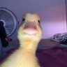 harold profil fotoğrafı