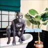 MATSUO-マツオ profil fotoğrafı