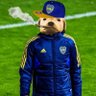 Profilbild von Cachorrao (Polenta's Versión)