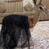 غسق . 的头像