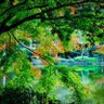 匿名 的头像
