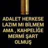 H. İbrahim altan profil fotoğrafı