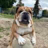 Roscoe44 的头像
