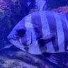 じょん 的头像