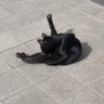 Lvé's profile picture