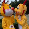 qiao wan's profile picture