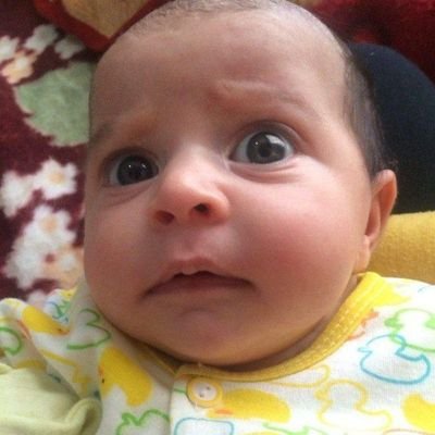 احسان شیاسی's profile picture