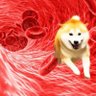 脳内花火大会's profile picture