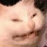 Profilbild von Nadir