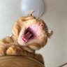 しちゃ profil fotoğrafı