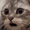 Matt's profile picture