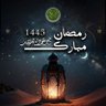 Noor Aldeen profil fotoğrafı