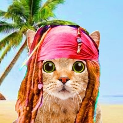 BenChen01437359's profile picture