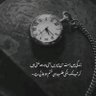 Фото профиля Saira Farooqi
