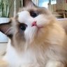 Фото профиля Emily