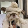 The Sam's profile picture