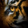 ITTI🖤💛🇸🇦's profile picture