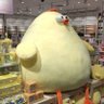 muzlu passsta's profile picture