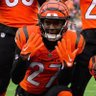 Thatbengalsfan's profile picture