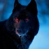 Фото профиля Zack Abshere