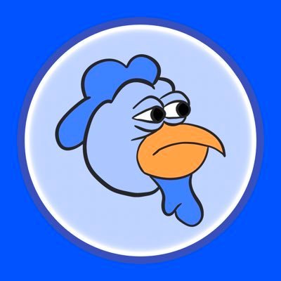 RocstsCoin's profile picture