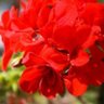 Фото профиля MasieQ