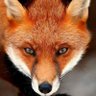 Profilbild von Werdna7591