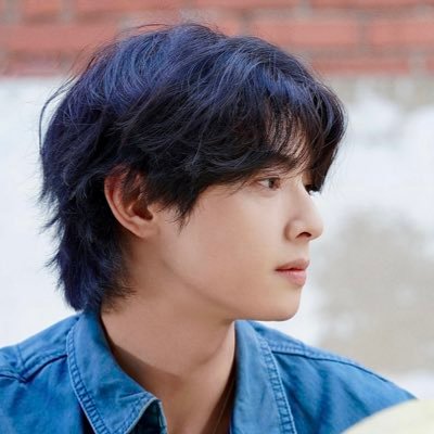 christy | 최차's profile picture