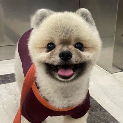 MLB_Hoo_Archive's profile picture
